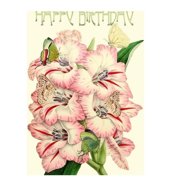 2 New Madame Treacle Vintage Greeting Cards Gladioli and Two Scotties New - Picture 1 of 8